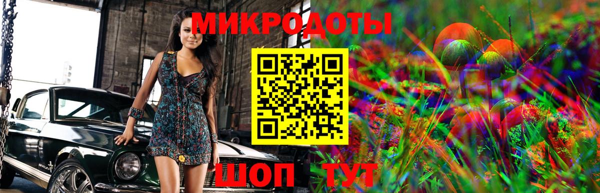 Тара  Псилоцибиновые грибы Psilocybine cubensis  Вход с VPN  Псилоцибиновые грибы Cubensis 