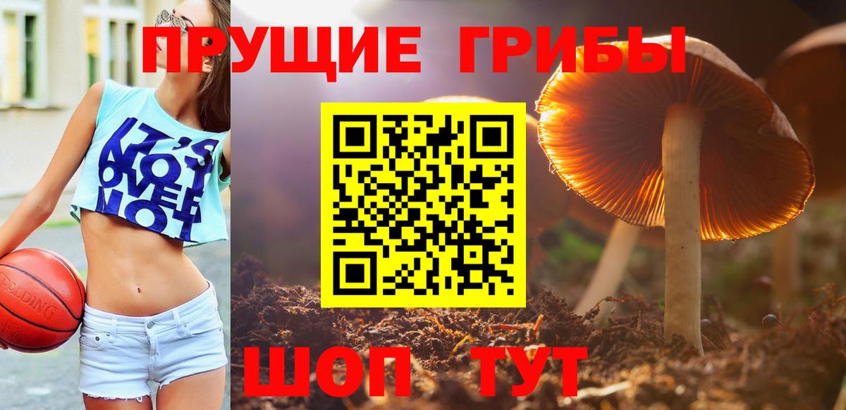 Псилоцибиновые грибы Magic Shrooms Тара