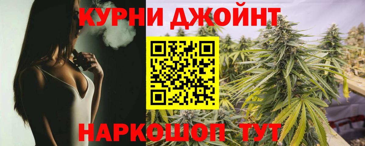 Шишки марихуана план Тара